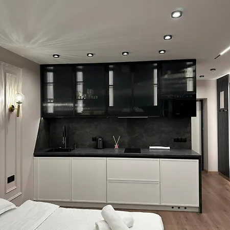 公寓 Leogrand On Virmenska 14 利沃夫